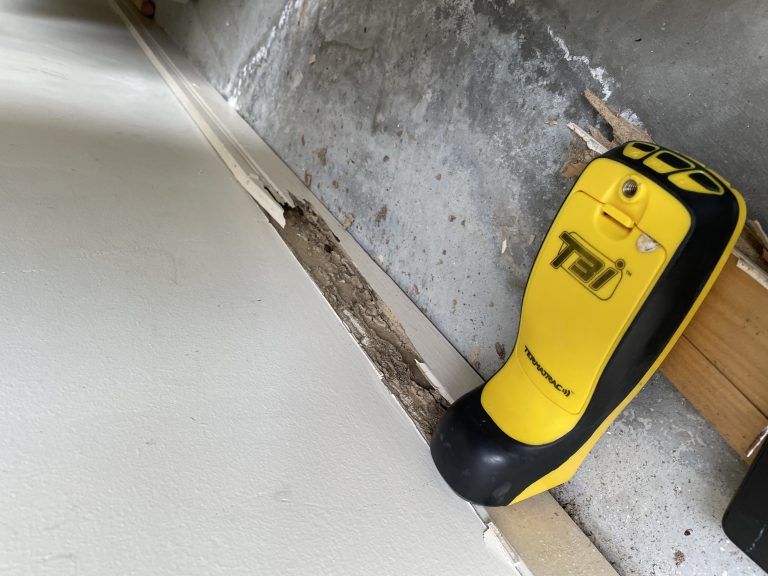 Termite Control Pacific Pines